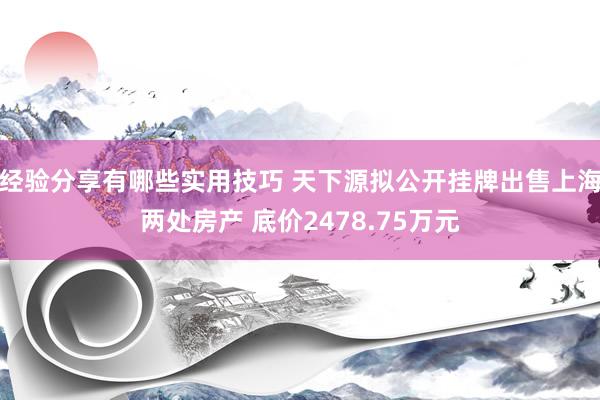 经验分享有哪些实用技巧 天下源拟公开挂牌出售上海两处房产 底价2478.75万元