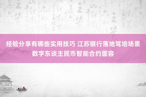 经验分享有哪些实用技巧 江苏银行落地驾培场景数字东谈主民币智能合约面容