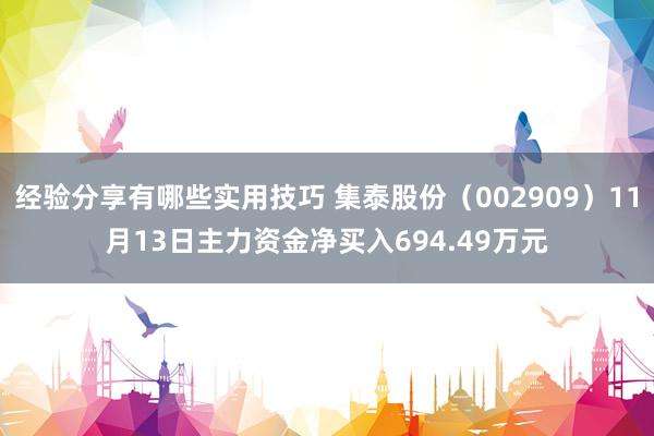 经验分享有哪些实用技巧 集泰股份（002909）11月13日主力资金净买入694.49万元