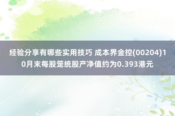 经验分享有哪些实用技巧 成本界金控(00204)10月末每股笼统股产净值约为0.393港元