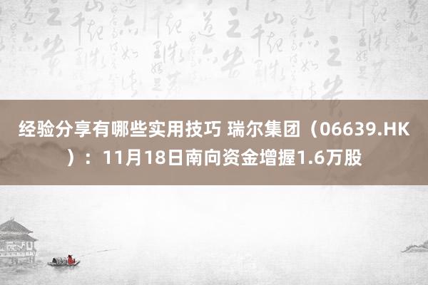 经验分享有哪些实用技巧 瑞尔集团（06639.HK）：11月18日南向资金增握1.6万股