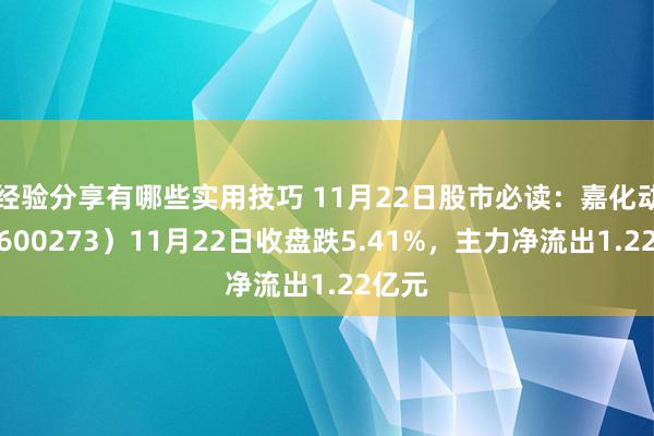 经验分享有哪些实用技巧 11月22日股市必读：嘉化动力（600273）11月22日收盘跌5.41%，主力净流出1.22亿元