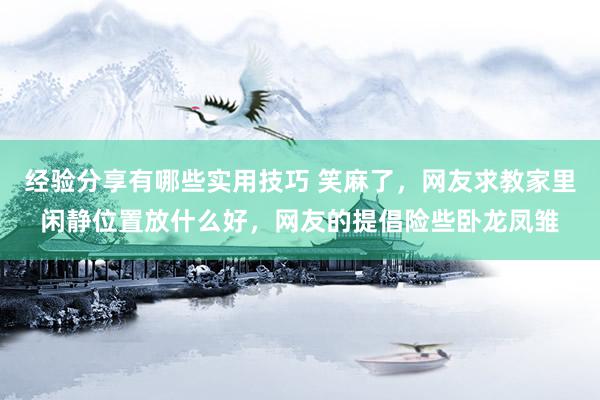 经验分享有哪些实用技巧 笑麻了，网友求教家里闲静位置放什么好，网友的提倡险些卧龙凤雏