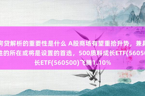 房贷解析的重要性是什么 A股商场有望重拾升势，兼具成长及平衡属性的所在或将是设置的首选，500质料成长ETF(560500)飞腾1.10%