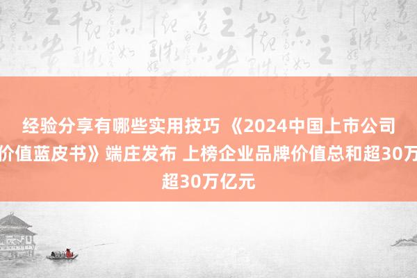 经验分享有哪些实用技巧 《2024中国上市公司品牌价值蓝皮书》端庄发布 上榜企业品牌价值总和超30万亿元