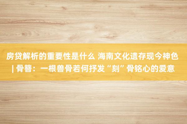 房贷解析的重要性是什么 海南文化遗存现今神色 | 骨簪：一根兽骨若何抒发“刻”骨铭心的爱意