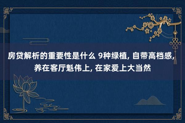 房贷解析的重要性是什么 9种绿植, 自带高档感, 养在客厅魁伟上, 在家爱上大当然