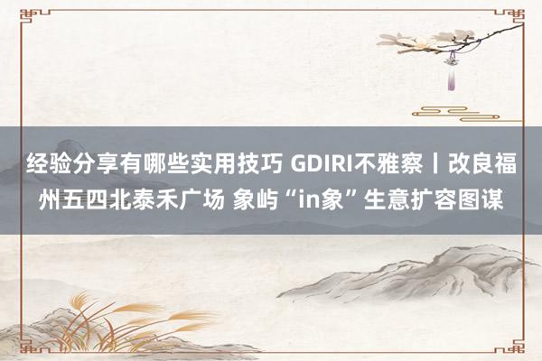 经验分享有哪些实用技巧 GDIRI不雅察丨改良福州五四北泰禾广场 象屿“in象”生意扩容图谋