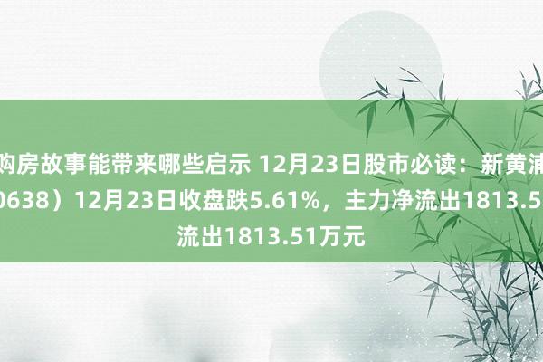 购房故事能带来哪些启示 12月23日股市必读：新黄浦（600638）12月23日收盘跌5.61%，主力净流出1813.51万元