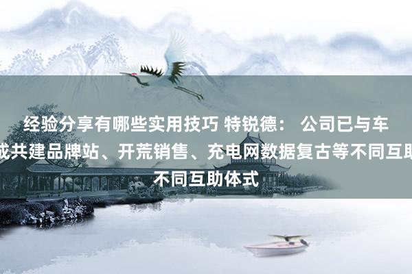 经验分享有哪些实用技巧 特锐德： 公司已与车企达成共建品牌站、开荒销售、充电网数据复古等不同互助体式