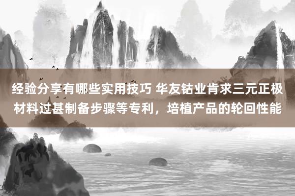 经验分享有哪些实用技巧 华友钴业肯求三元正极材料过甚制备步骤等专利，培植产品的轮回性能