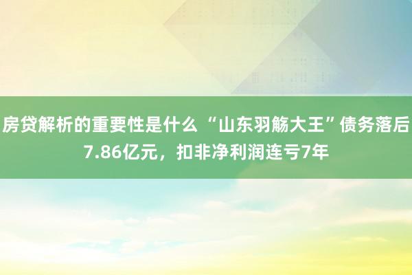 房贷解析的重要性是什么 “山东羽觞大王”债务落后7.86亿元，扣非净利润连亏7年