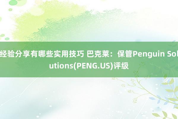 经验分享有哪些实用技巧 巴克莱：保管Penguin Solutions(PENG.US)评级