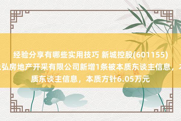 经验分享有哪些实用技巧 新城控股(601155)控股的天津新城悦弘房地产开采有限公司新增1条被本质东谈主信息，本质方针6.05万元