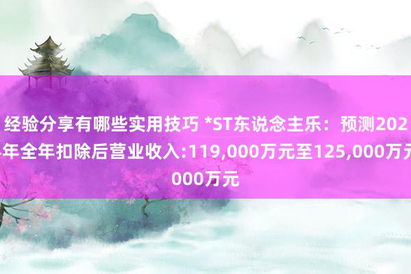 经验分享有哪些实用技巧 *ST东说念主乐：预测2024年全年扣除后营业收入:119,000万元至125,000万元