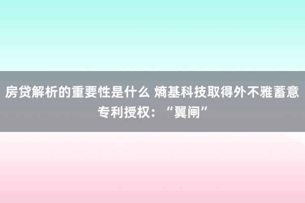 房贷解析的重要性是什么 熵基科技取得外不雅蓄意专利授权：“翼闸”