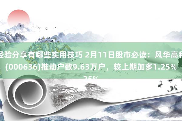 经验分享有哪些实用技巧 2月11日股市必读：风华高科(000636)推动户数9.63万户，较上期加多1.25%