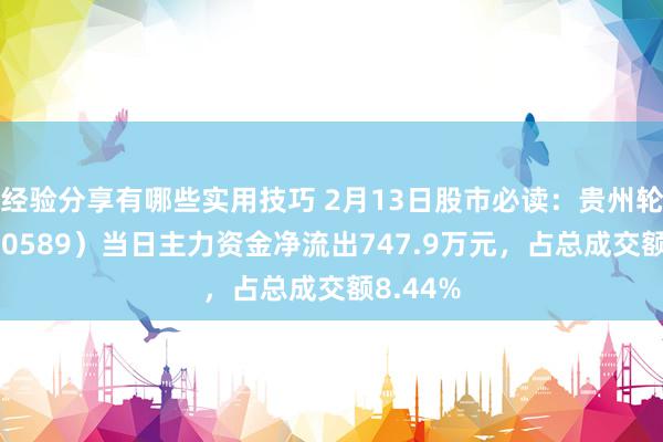 经验分享有哪些实用技巧 2月13日股市必读：贵州轮胎（000589）当日主力资金净流出747.9万元，占总成交额8.44%