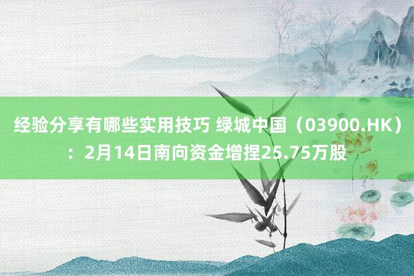 经验分享有哪些实用技巧 绿城中国（03900.HK）：2月14日南向资金增捏25.75万股