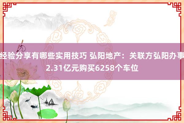 经验分享有哪些实用技巧 弘阳地产：关联方弘阳办事2.31亿元购买6258个车位