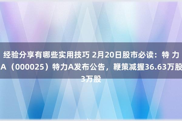 经验分享有哪些实用技巧 2月20日股市必读：特 力Ａ（000025）特力A发布公告，鞭策减握36.63万股