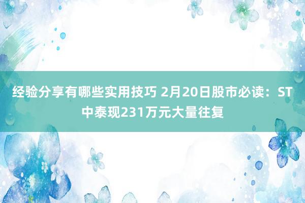 经验分享有哪些实用技巧 2月20日股市必读：ST中泰现231万元大量往复