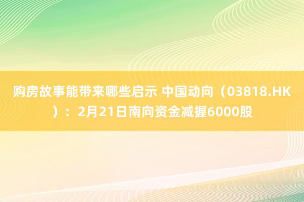 购房故事能带来哪些启示 中国动向（03818.HK）：2月21日南向资金减握6000股