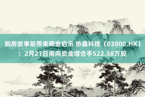 购房故事能带来哪些启示 协鑫科技（03800.HK）：2月21日南向资金增合手522.58万股