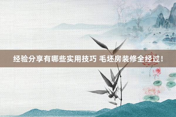 经验分享有哪些实用技巧 毛坯房装修全经过！