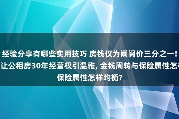 经验分享有哪些实用技巧 房钱仅为阛阓价三分之一! 多地出让公租房30年经营权引温雅, 金钱周转与保险属性怎样均衡?