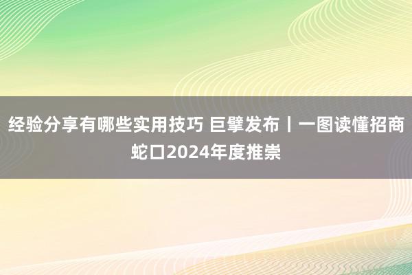 经验分享有哪些实用技巧 巨擘发布丨一图读懂招商蛇口2024年度推崇