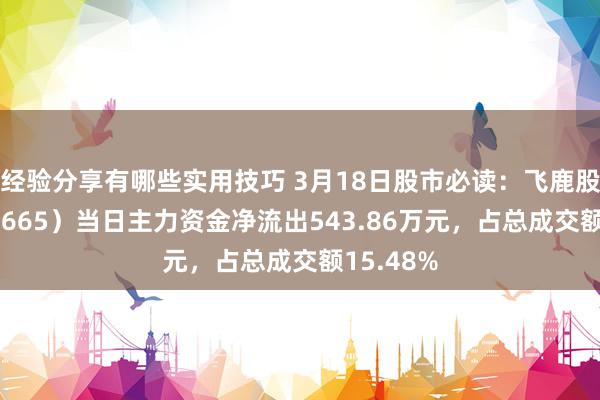 经验分享有哪些实用技巧 3月18日股市必读：飞鹿股份（300665）当日主力资金净流出543.86万元，占总成交额15.48%